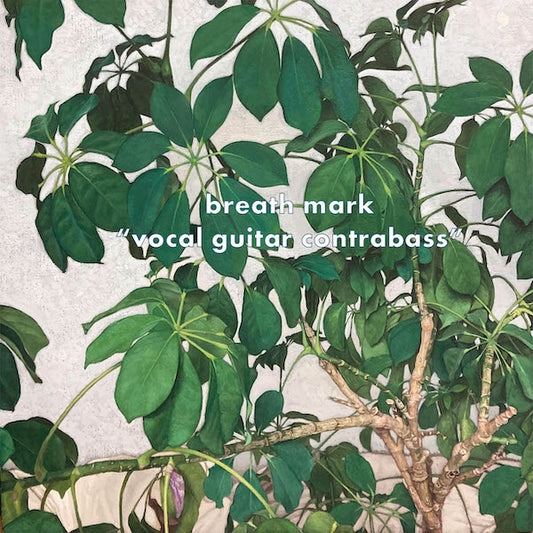 ★breath mark / vocal guitar contrabass (LP)